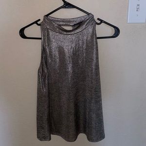 Metallic haulter top